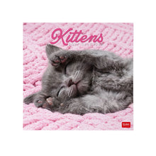 Cargar imagen en el visor de la galería, CALENDARIO DE PARED KITTENS 2027 (CAL270001)
