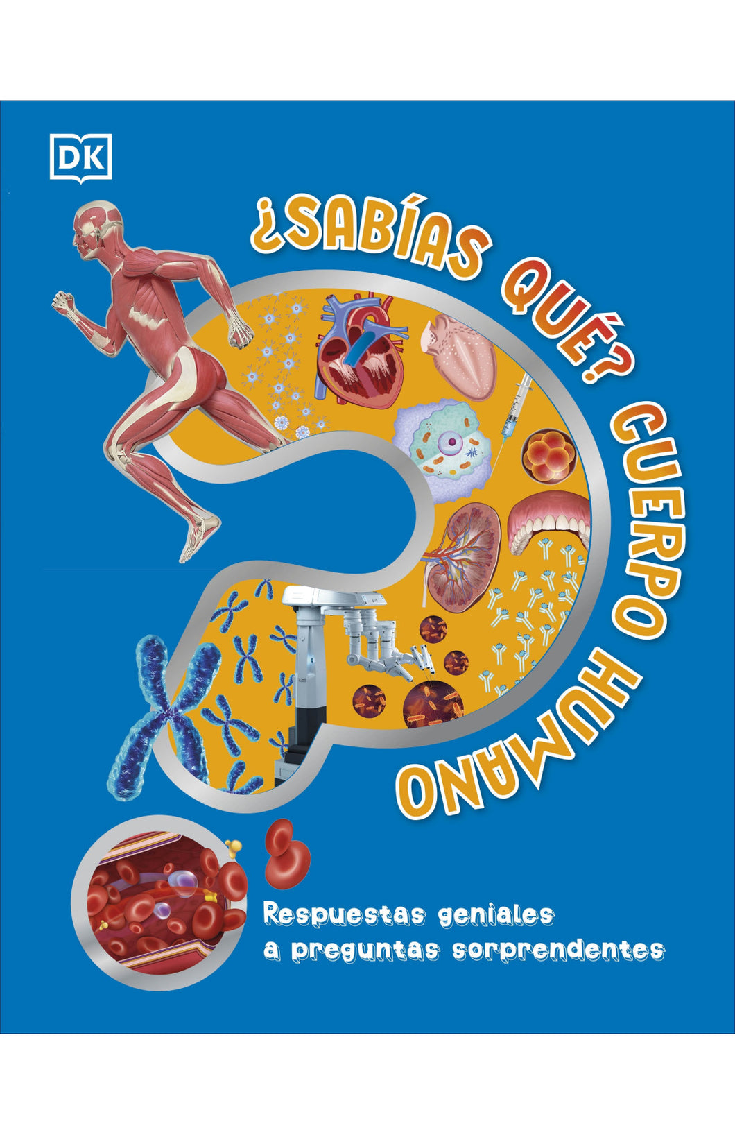 SABIAS QUE CUERPO HUMANO