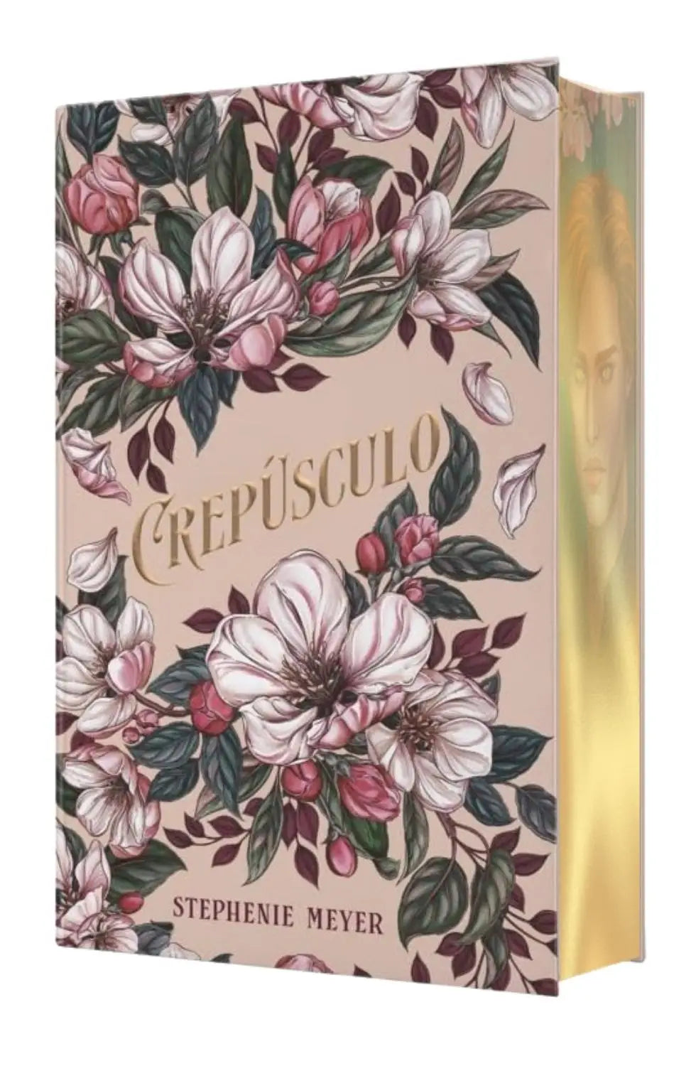 CREPUSCULO 01 CREPUSCULO EDICION 20 ANIVERSARIO (CANTOS PINTADOS) (TD)