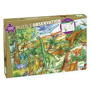 DINOSAURS WITH BOOKLET 100 PCS (DJ07424)