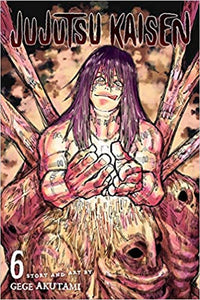 JUJUTSU KAISEN 06