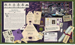 HARRY POTTER MAGIC OF MINALIMA (HC)