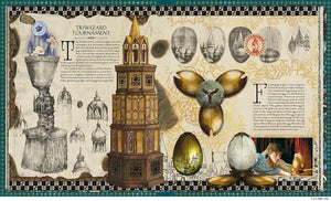 HARRY POTTER MAGIC OF MINALIMA (HC)