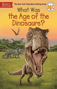 WHAT WAS THE AGE OF DINOSAURS