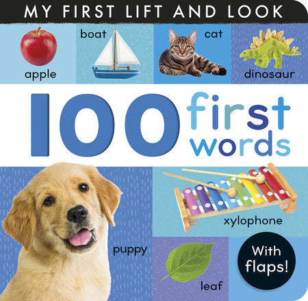 100 FIRST WORDS (HC)