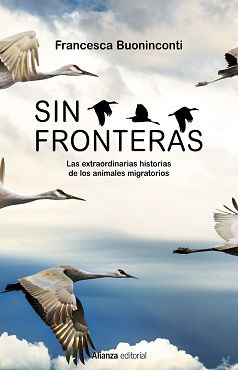 SIN FRONTERAS (TD)