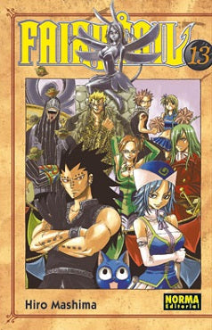 FAIRY TAIL VOL 13