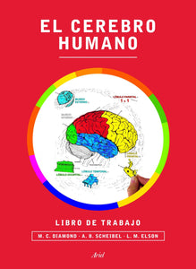 CEREBRO HUMANO