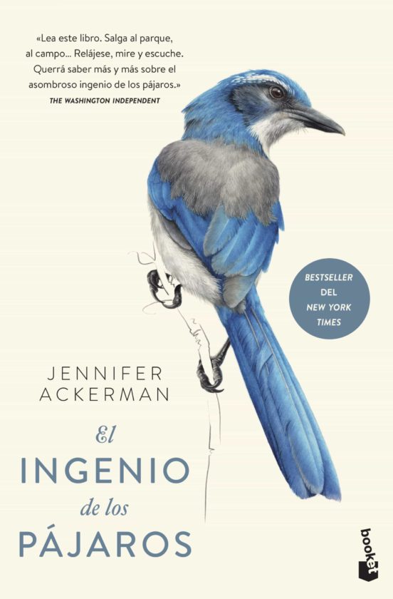 INGENIO DE LOS PAJAROS